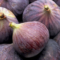 figs-pile.jpg2